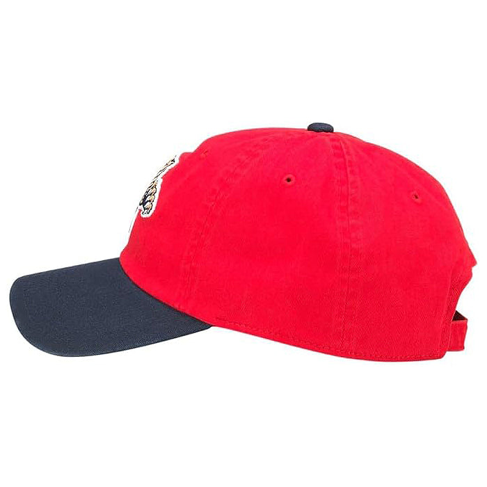 Load image into Gallery viewer, Florida Panthers NHL Blue Line Cap

