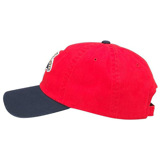 Florida Panthers NHL Blue Line Cap