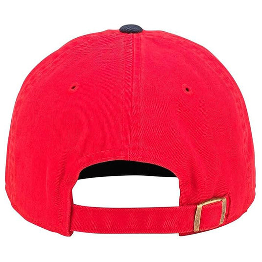 Florida Panthers NHL Blue Line Cap
