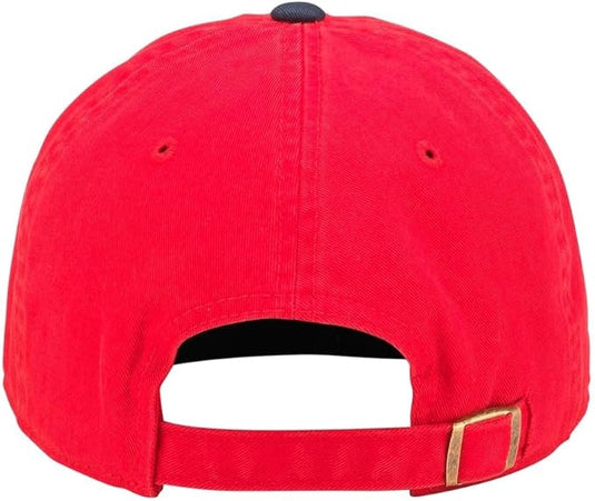 Florida Panthers NHL Blue Line Cap