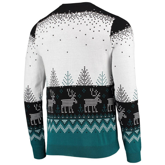 Philadelphia Eagles NFL Big Logo Knit Ugly Pullover Sweater