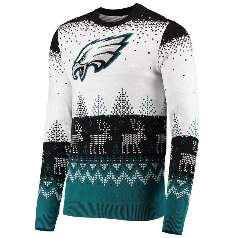 Load image into Gallery viewer, Philadelphia Eagles NFL Big Logo Knit Ugly Pullover Sweater
