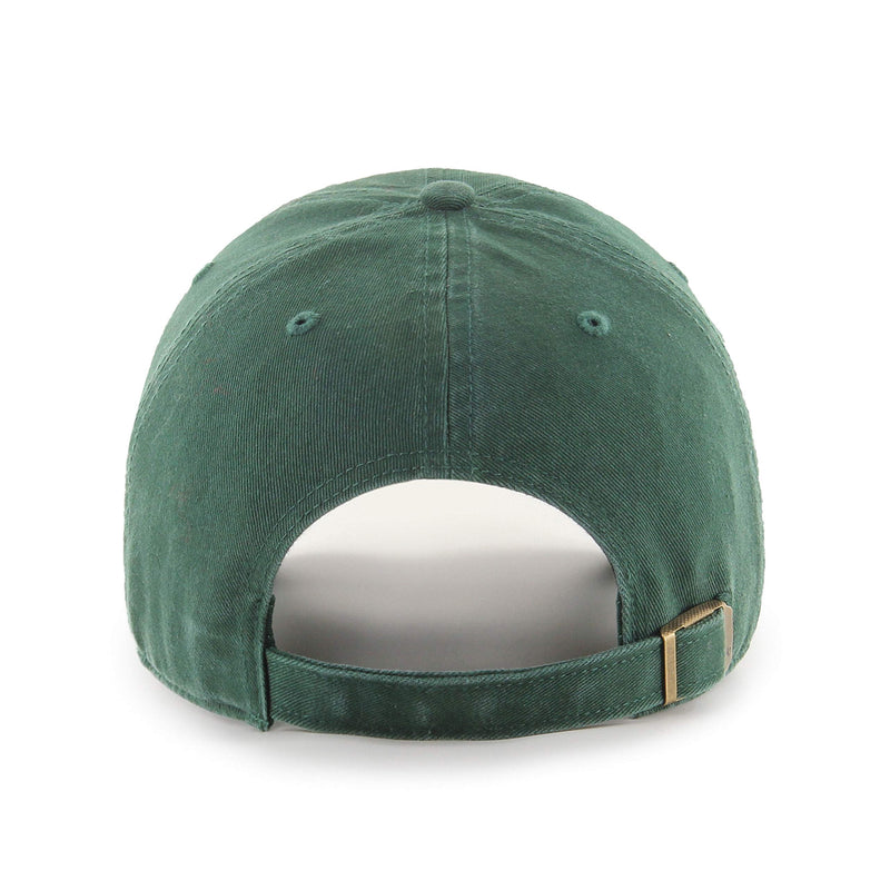 Load image into Gallery viewer, Green Bay Packers NFL Team Stripe Clean Up Cap
