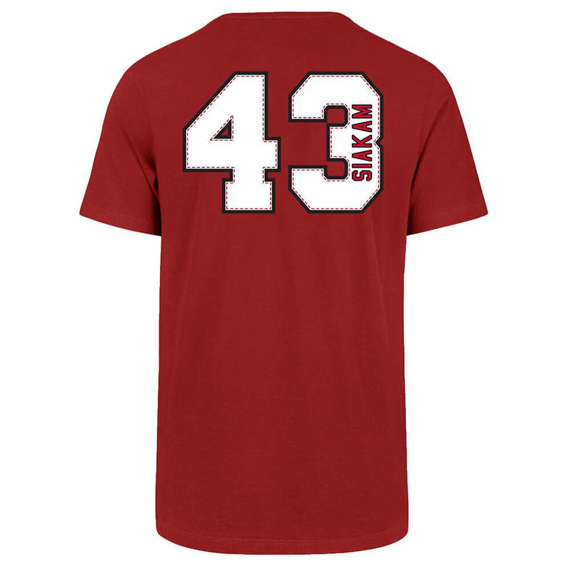 Load image into Gallery viewer, Toronto Raptors NBA Pascal Siakam Player Name and Number Tee
