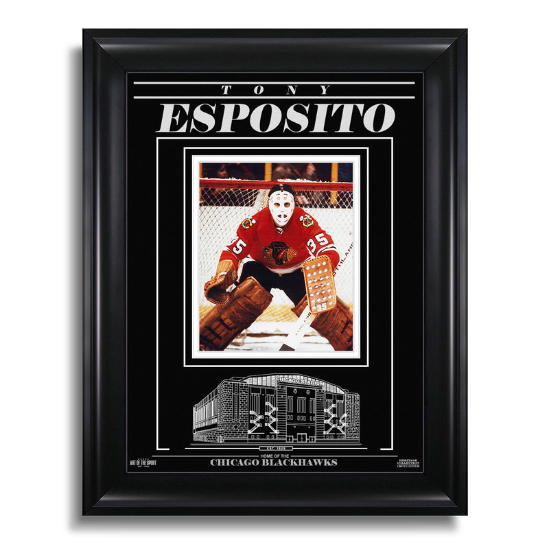 Load image into Gallery viewer, Tony Esposito Chicago Blackhawks Engraved Framed Photo - Focus
