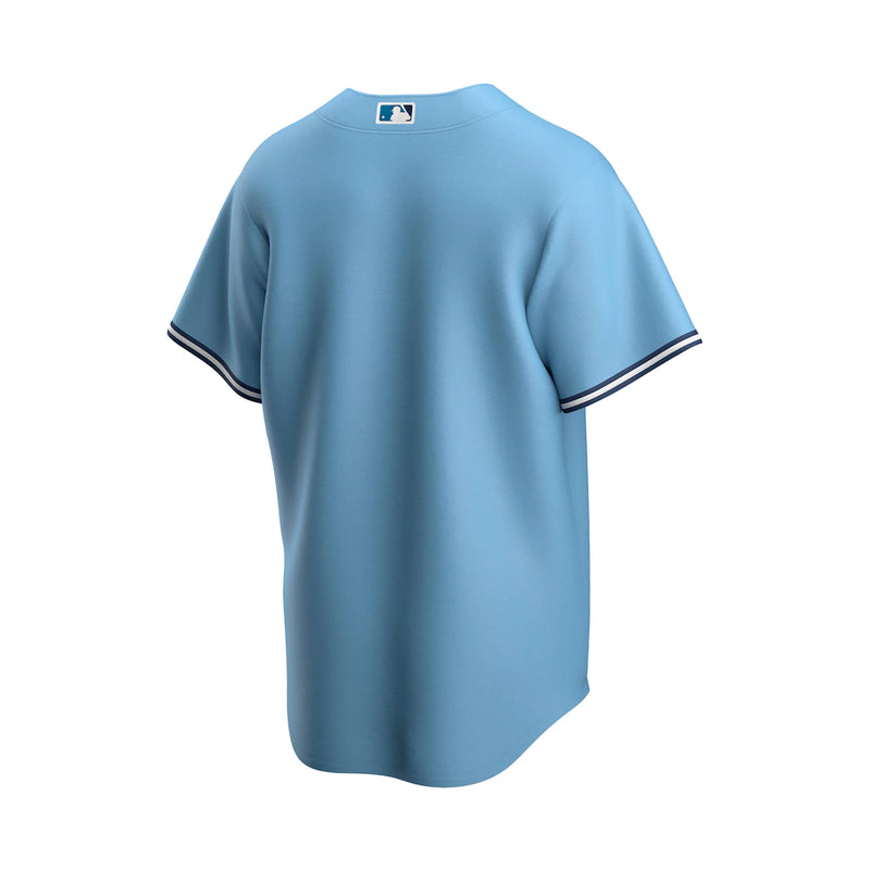 Load image into Gallery viewer, Youth Toronto Blue Jays Nike Powder Blue Alternate Jersey
