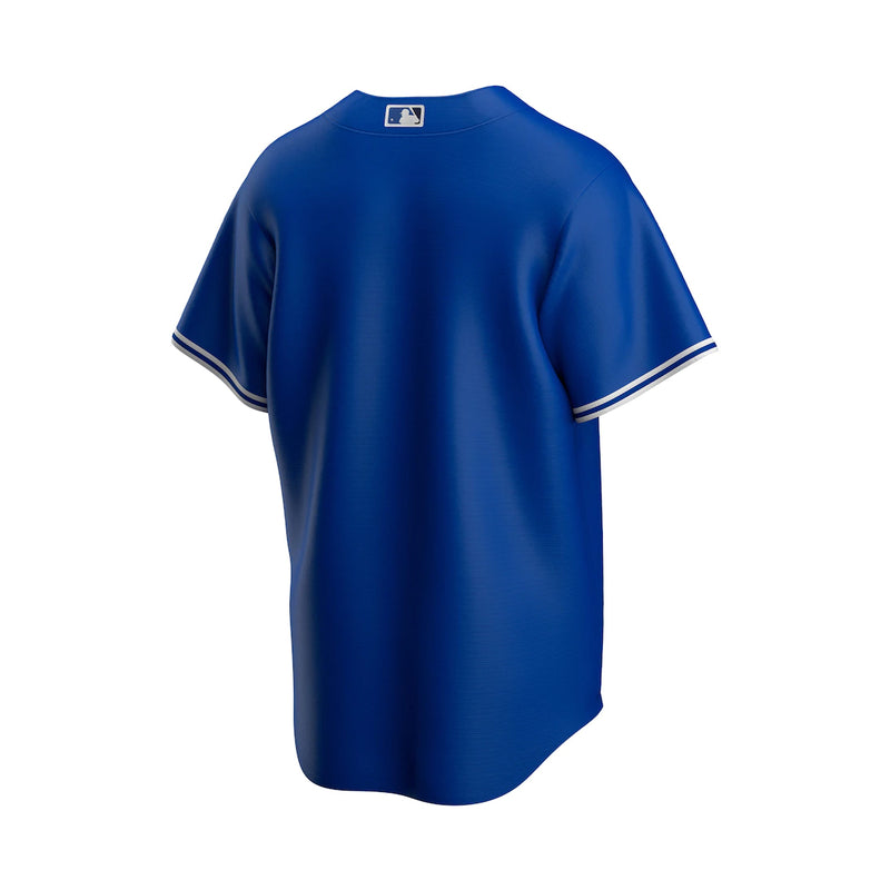 Load image into Gallery viewer, Youth Toronto Blue Jays Nike Royal Alternate Jersey
