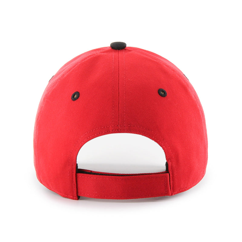 Load image into Gallery viewer, Youth Toronto Raptors NBA Offset MVP Cap
